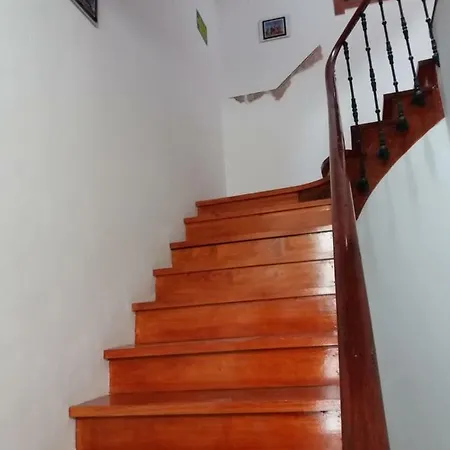 Pepe House 50